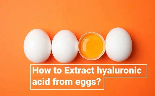 How to extract hyaluronic acid from eggs? - venamine